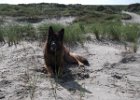 vakantie Ameland 2015 051